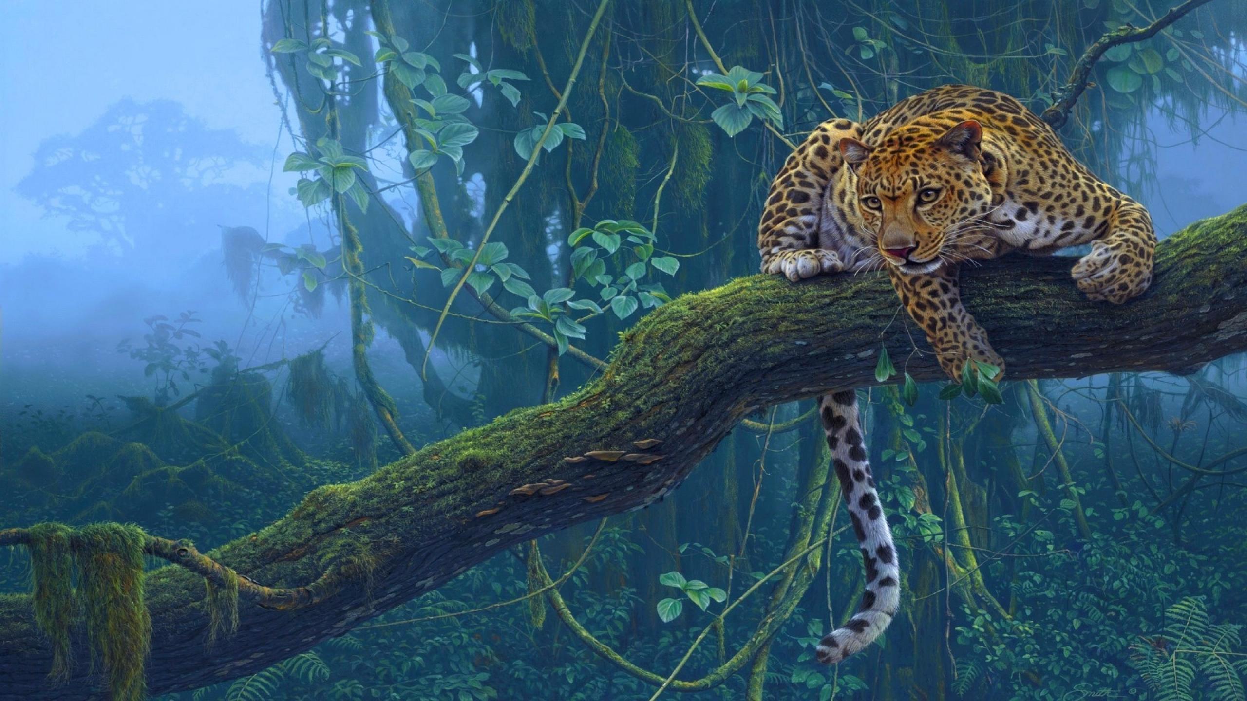 Artistic Big Cat Branch Fog Jungle Leopard Rainforest 2560x1440
