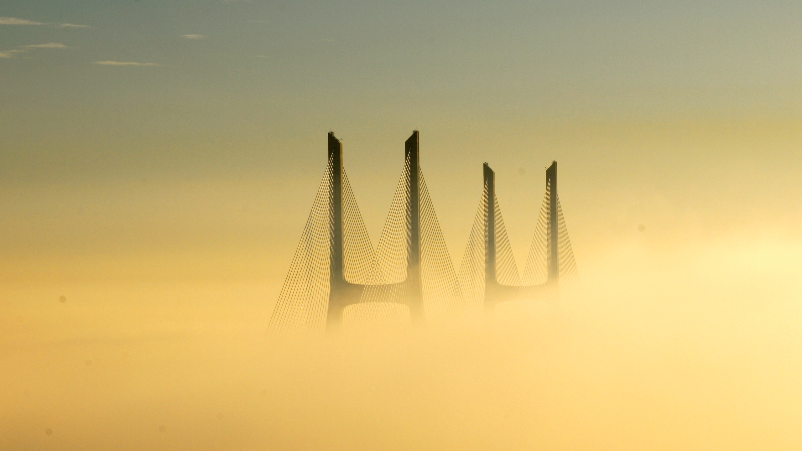 Man Made Vasco Da Gama Bridge 2560x1440