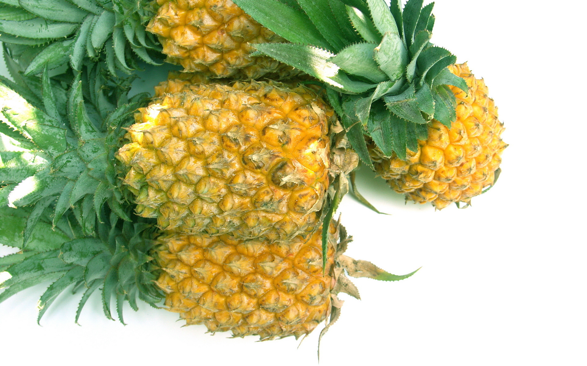 Food Pineapple 1920x1200